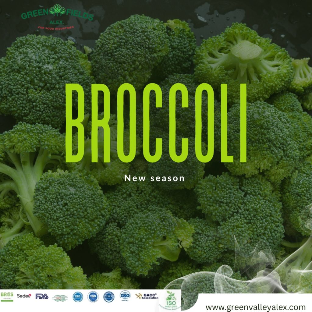 IQF frozen broccoli florets for B2B export by Green Valley